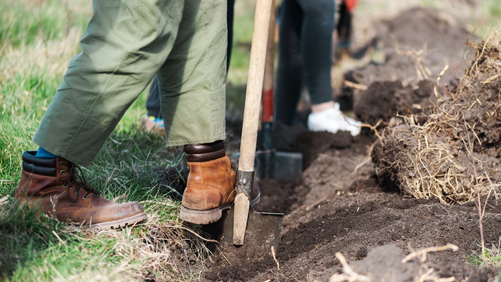 Stump Grinding