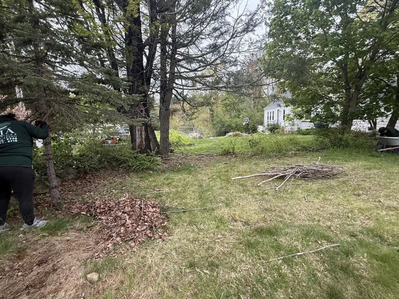Completed storm damage job on a residential lot in Norwell