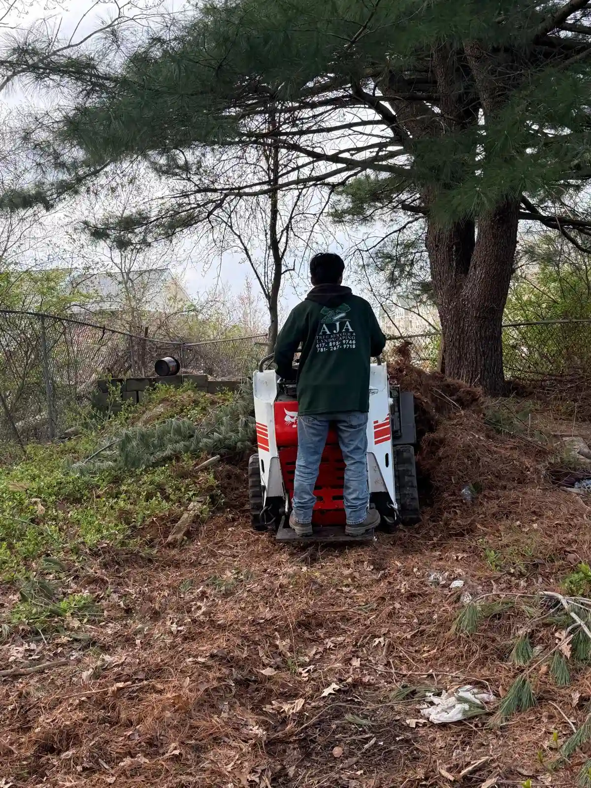 Yard Cleanup work in progress in Sharon, MA