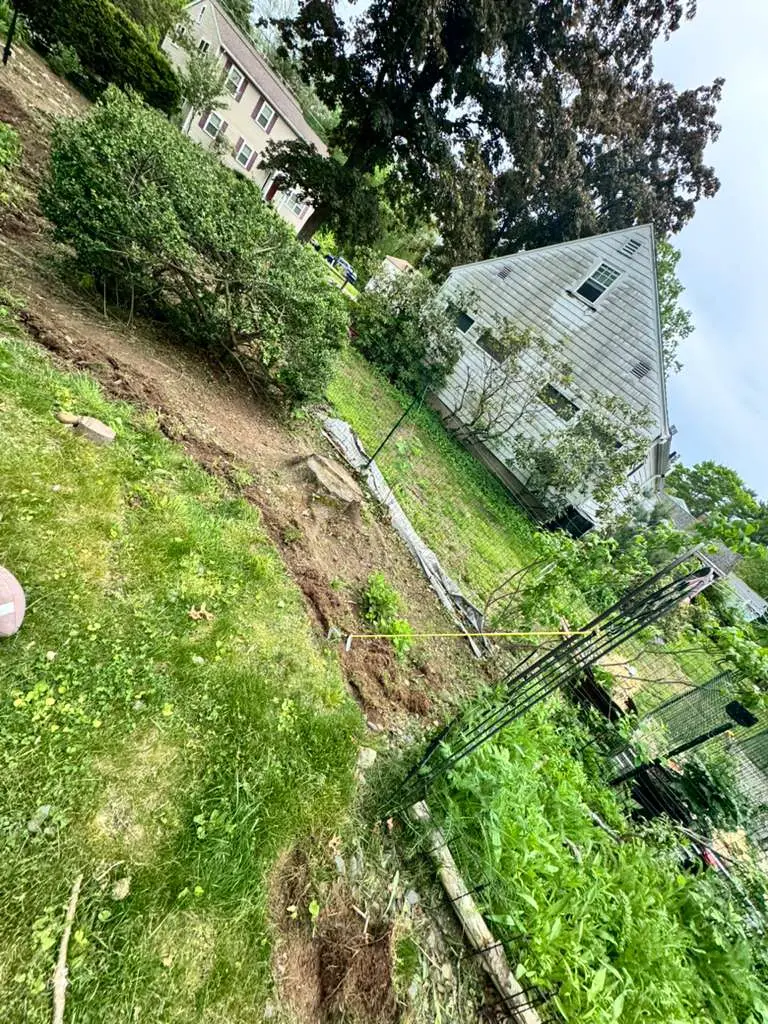 Completed yard cleanup job on a residential lot in Sharon