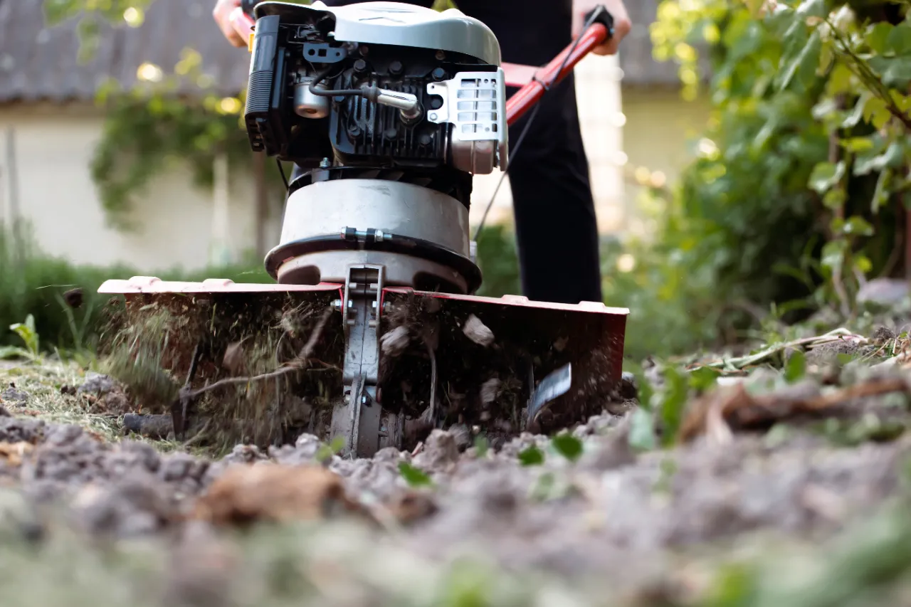 Cultivating garden soil with a tiller during cleanup