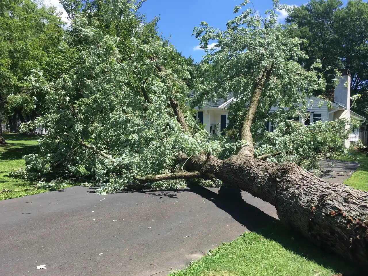 Storm damage cleanup on a residential property in Hanover, Massachusetts