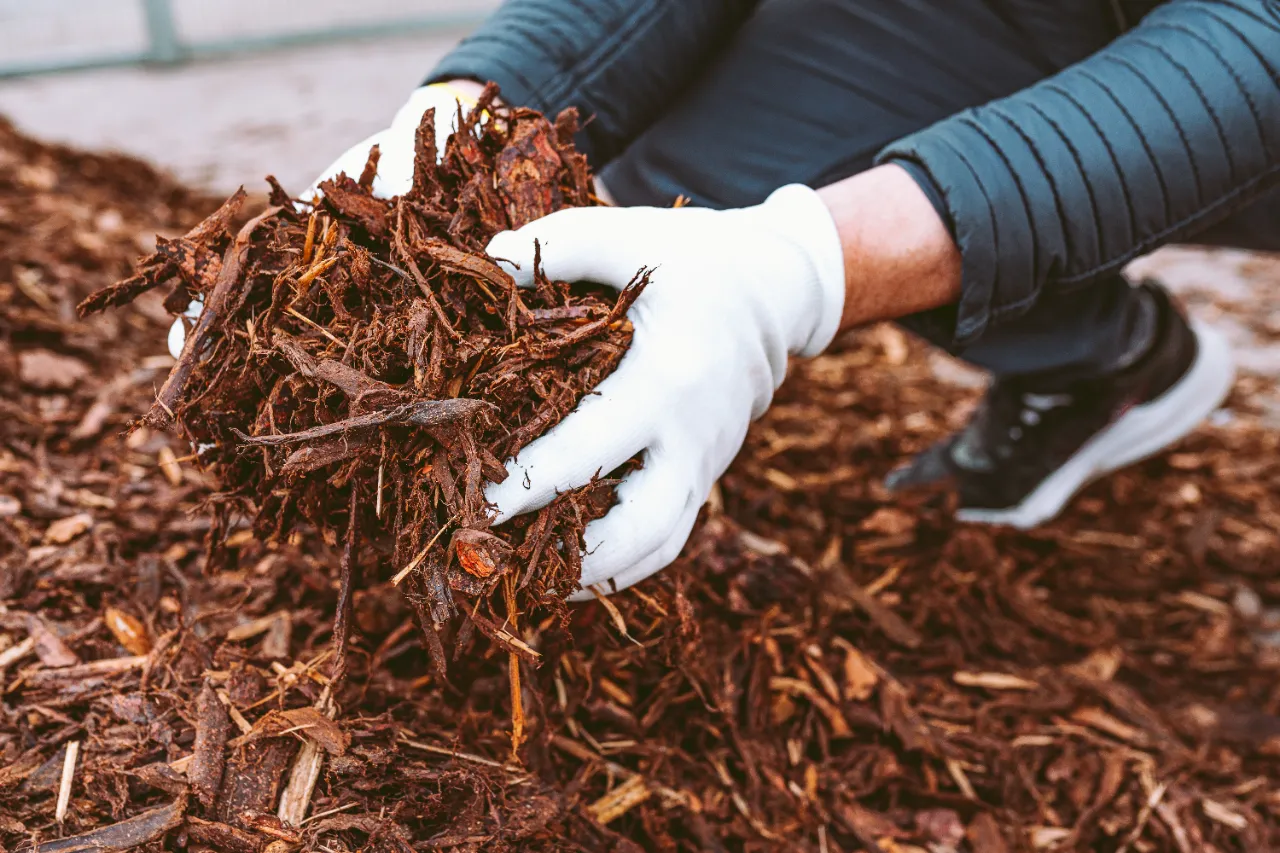 Mulching work in progress in Rockland, MA
