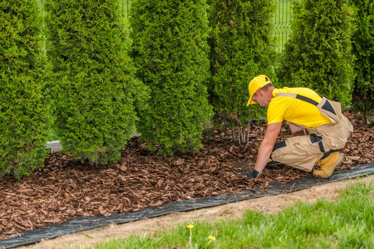 Mulching crew working on a residential property in Norwell, MA