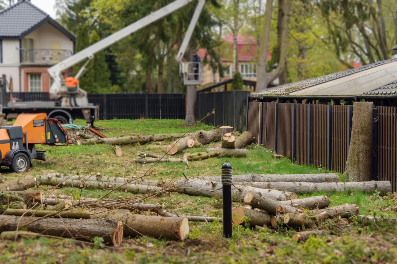 Tree Removal crew working on a residential property in Hanover, MA