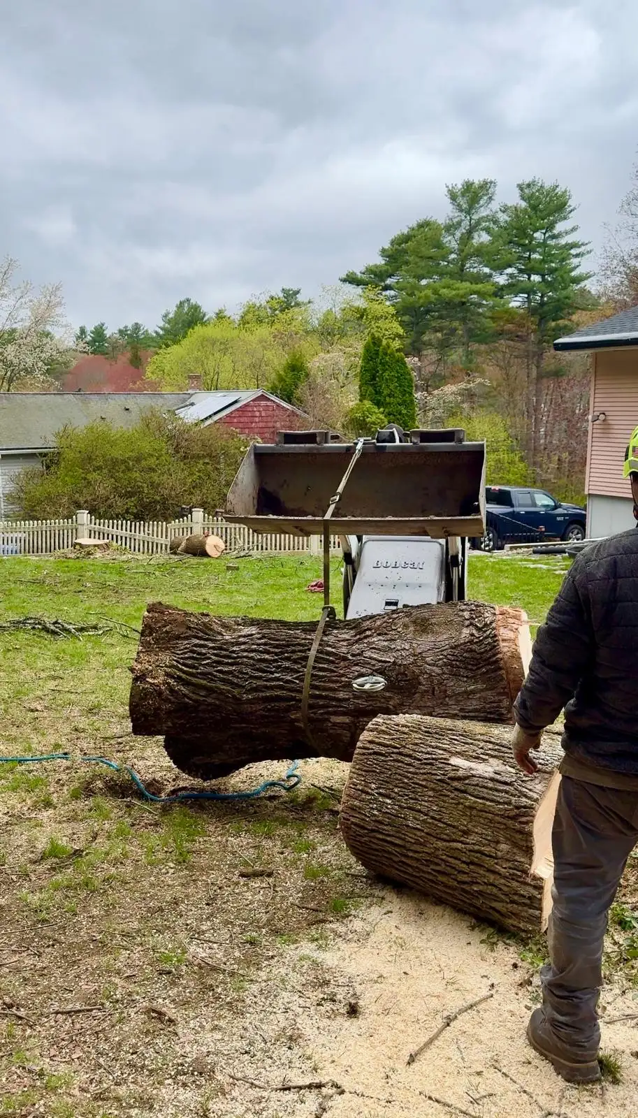 Tree trimming service on a residential property in Massachusetts
