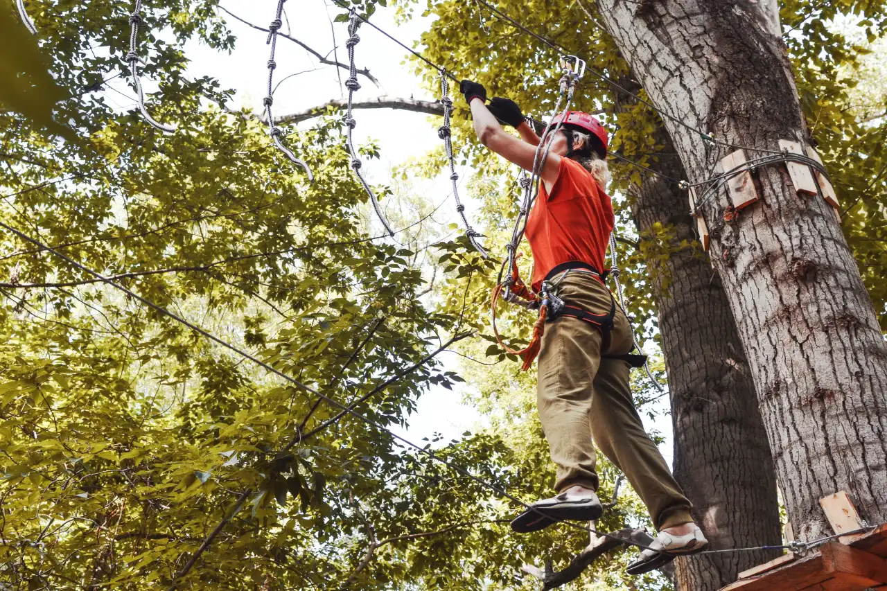 climbing at adventure park in the forest